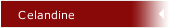 Celandine