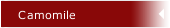 Camomile