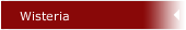 Wisteria