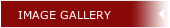 IMAGE GALLERY