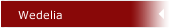 Wedelia