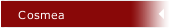 Cosmea